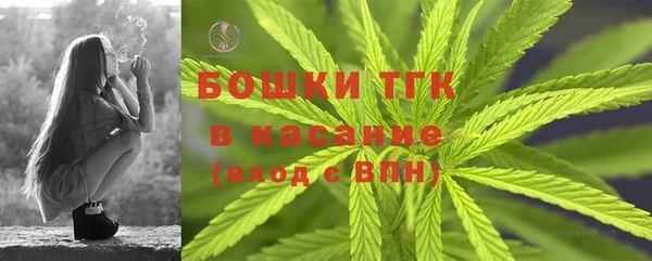 метадон Тавда