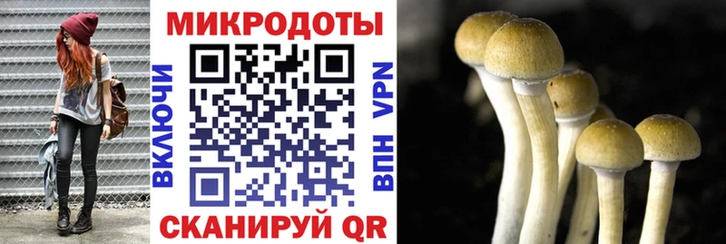 Псилоцибиновые грибы мухоморы  Нефтеюганск 