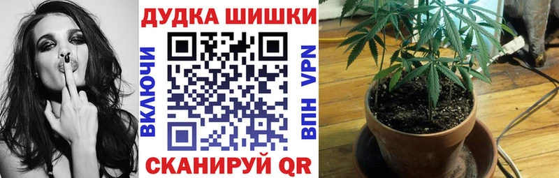 продажа наркотиков  Нефтеюганск  Шишки марихуана SATIVA & INDICA 